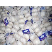 New Crop Fresh Garlic Chinese Supplier High Quality Cheapest Price